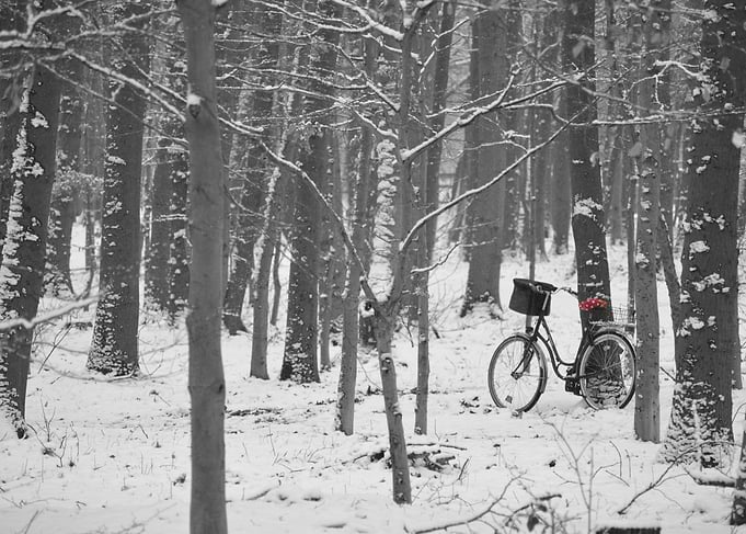 Bicycle with red seat
