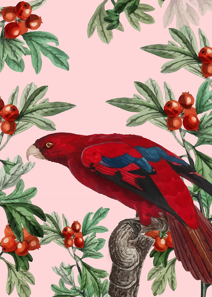 bird 2