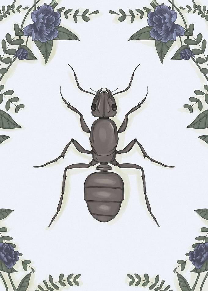 Ant with flowers