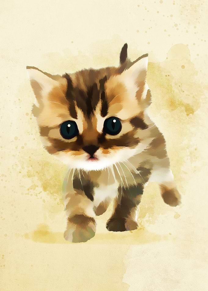 Cute Baby Cats7