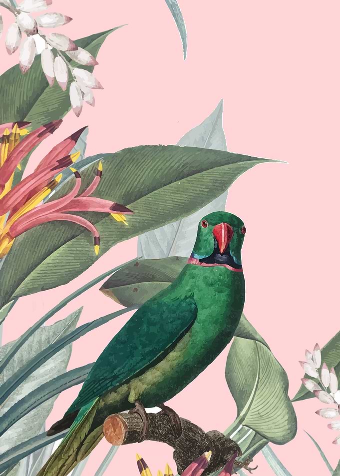 bird 1