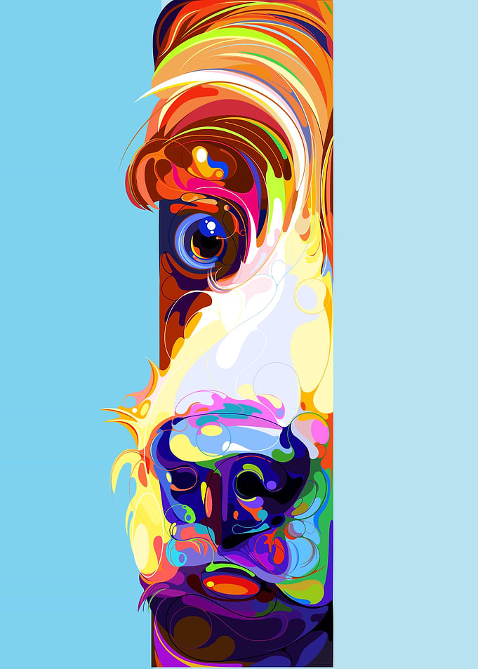 Observer