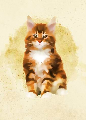 Cute Baby Cats1