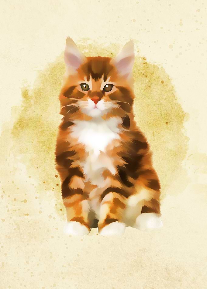 Cute Baby Cats1