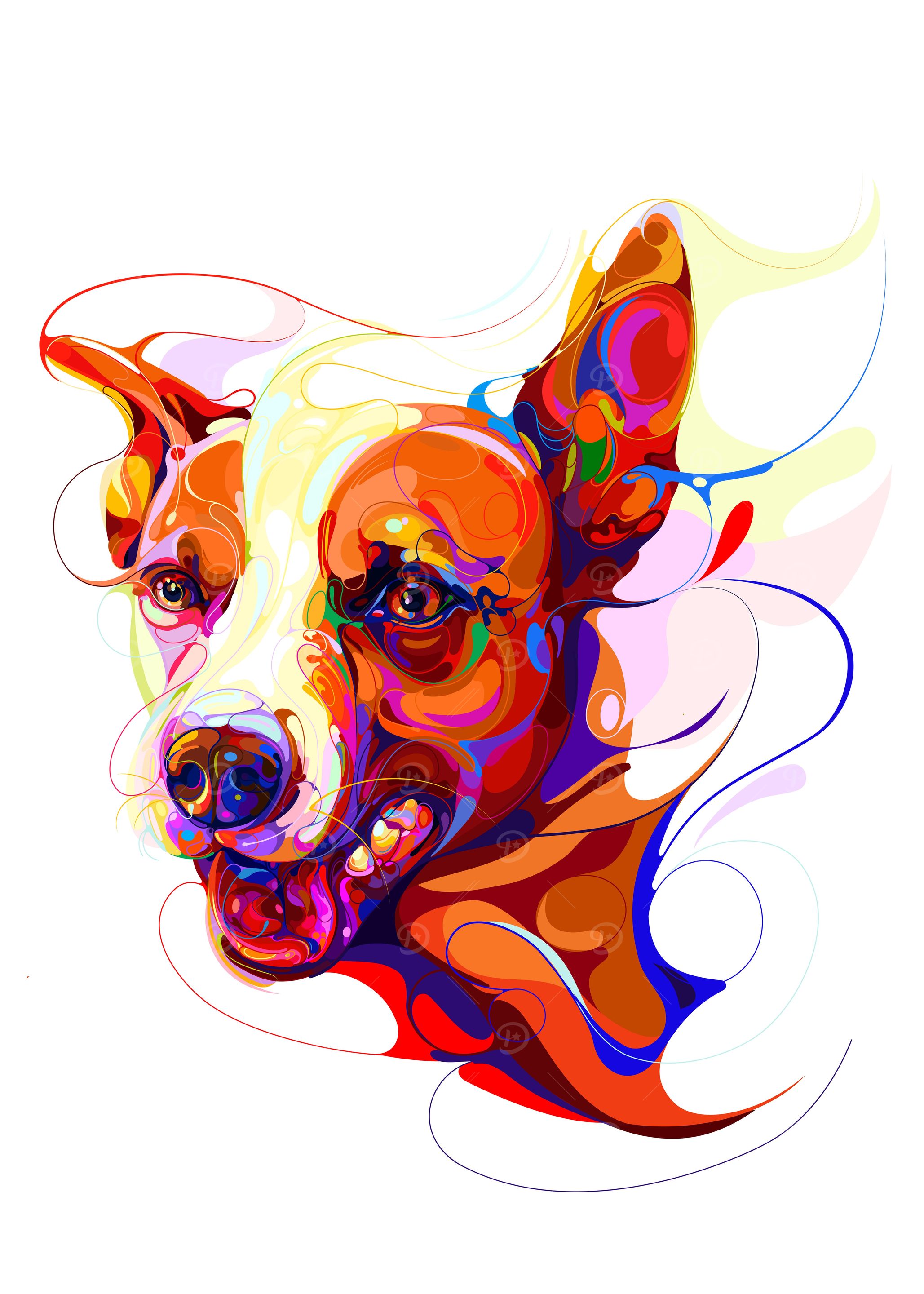 Jack russell terrier