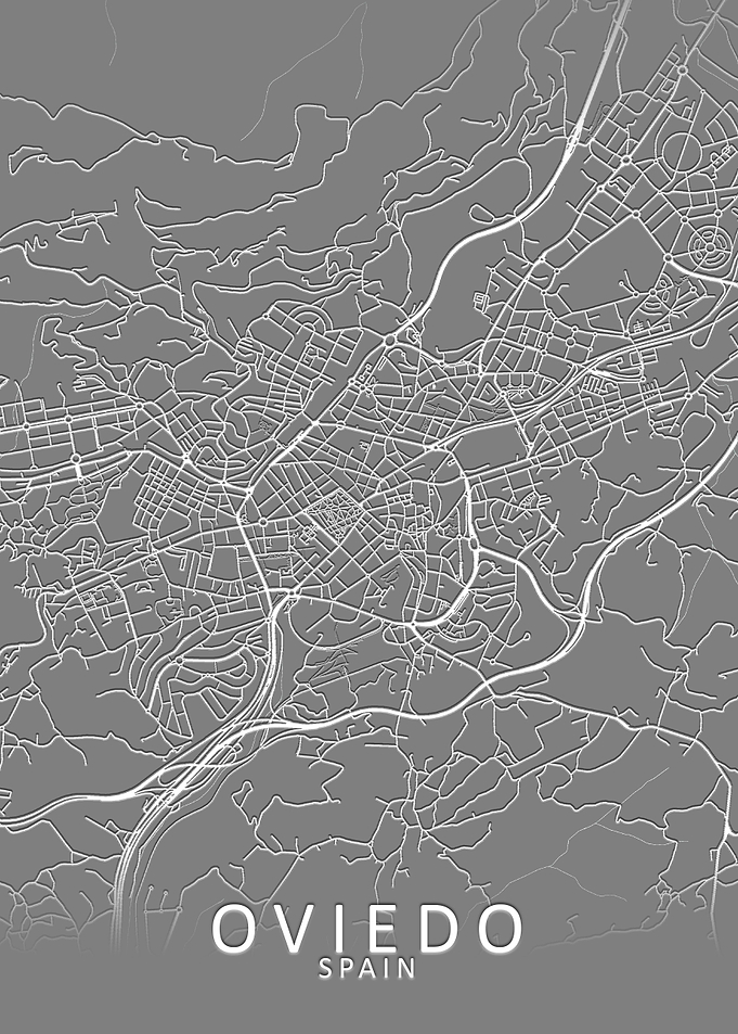 Oviedo Grey City Map