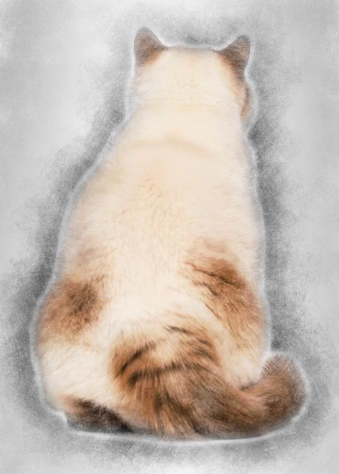 Rear view of a Fat British
