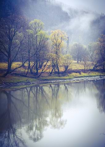 Foggy river