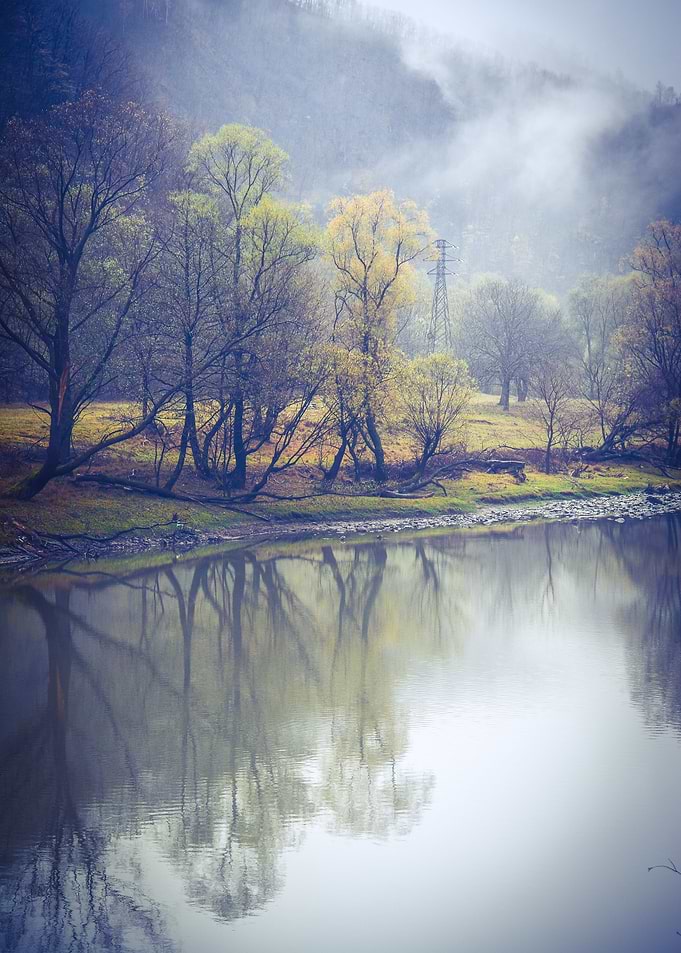 Foggy river