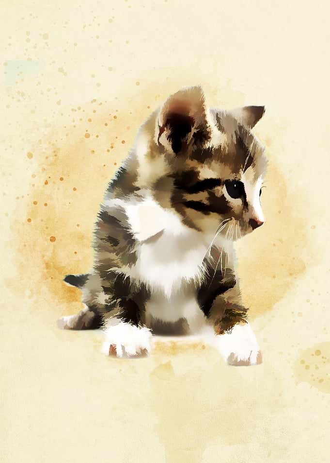 Cute Baby Cats4