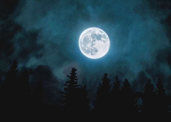 Moon beyond the pines