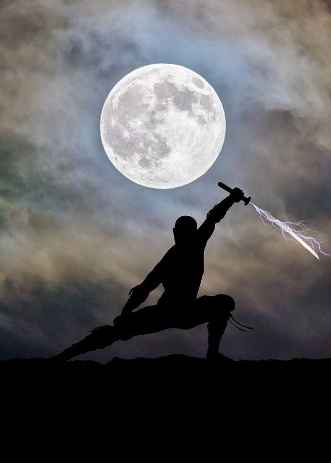The Shadow Warrior