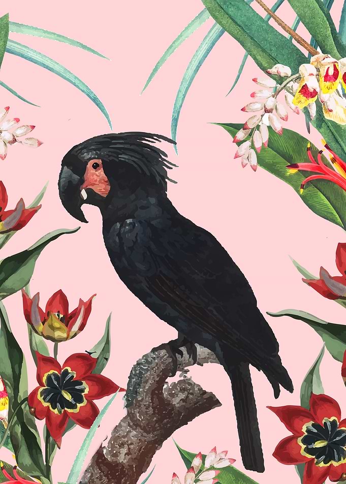 bird 5