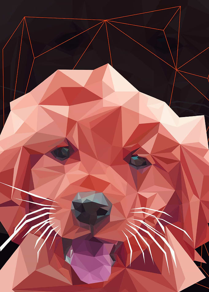 Dog Pop ARt