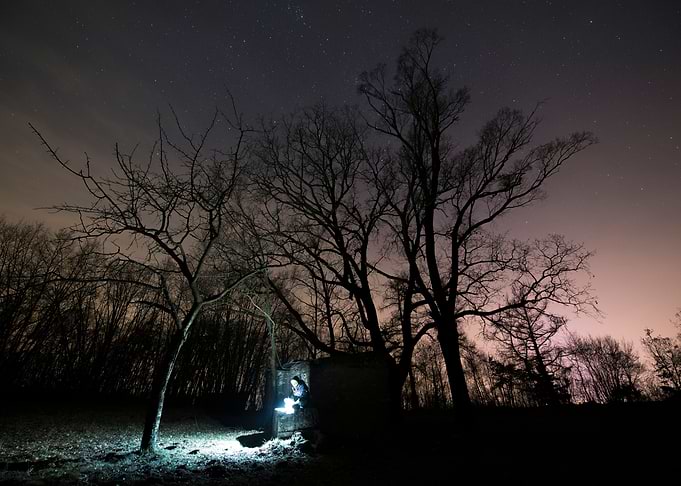 Night adventures