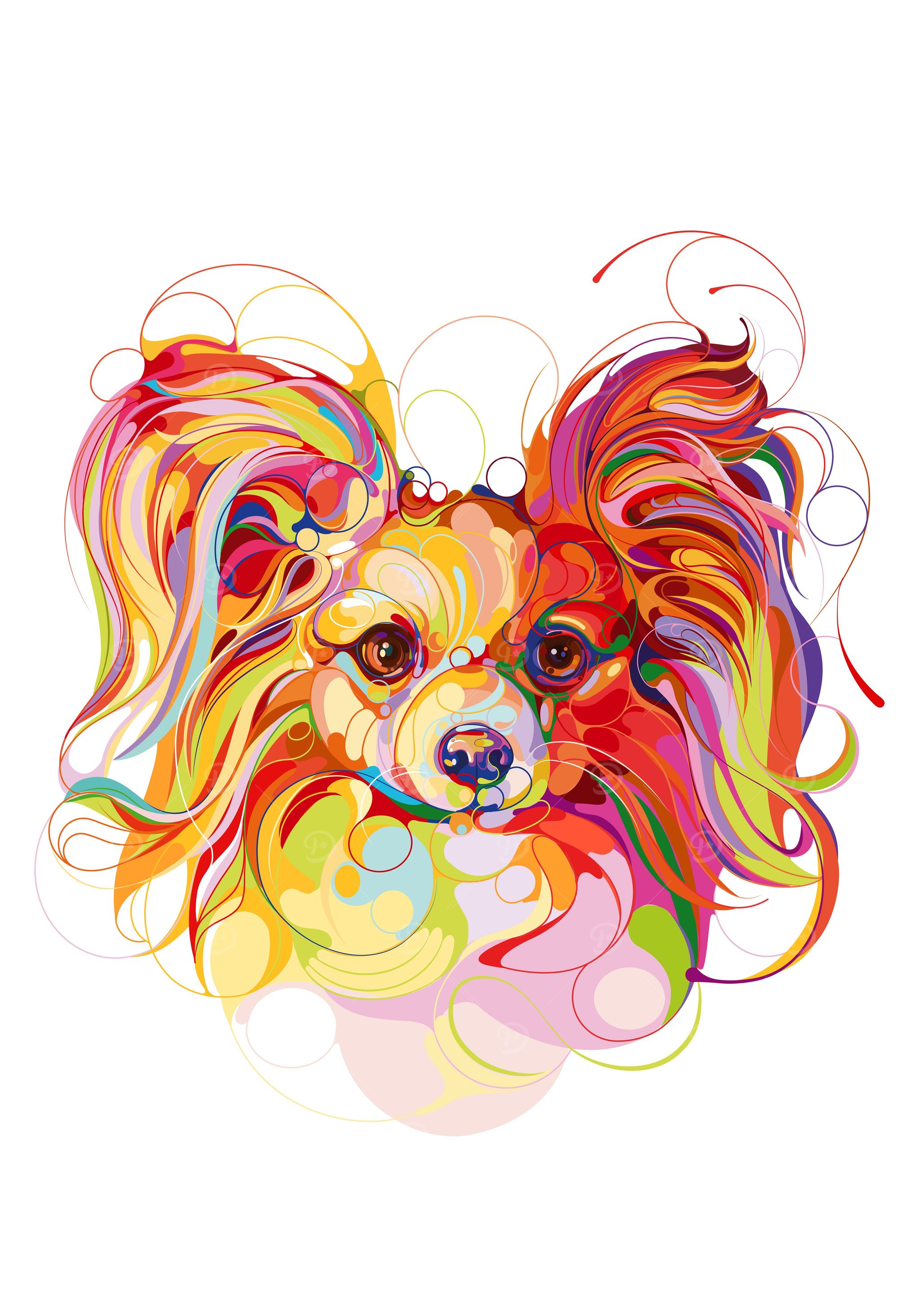 Papillon