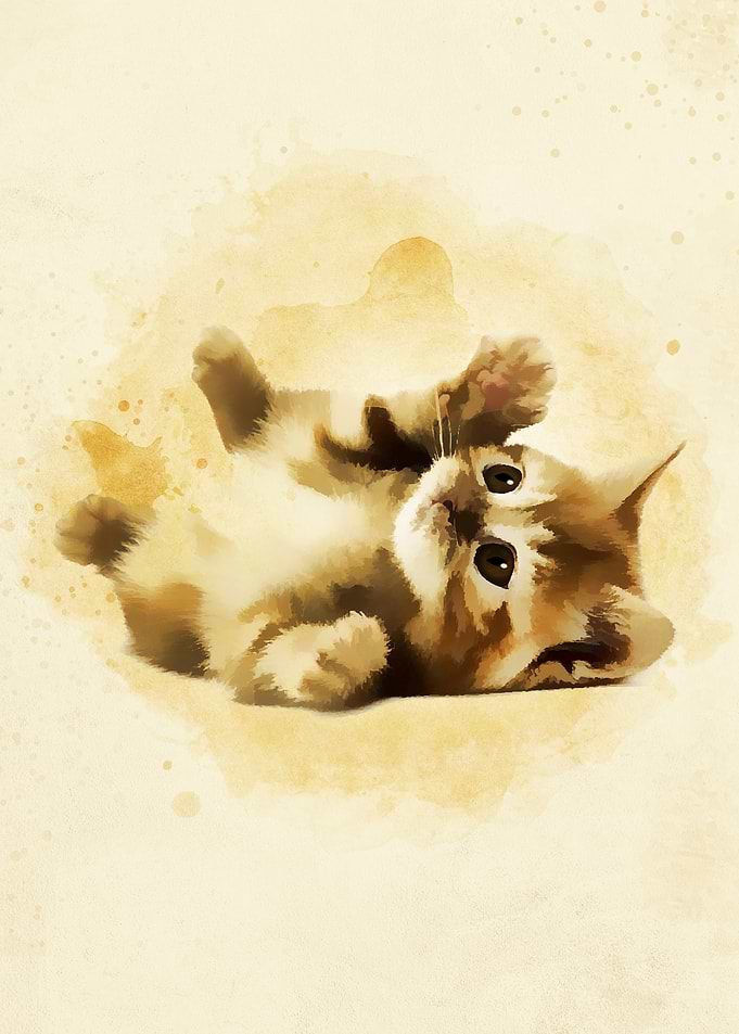 Cute Baby Cats5