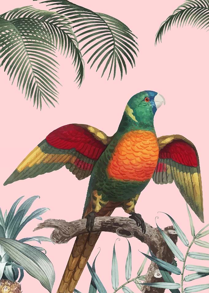 bird 3