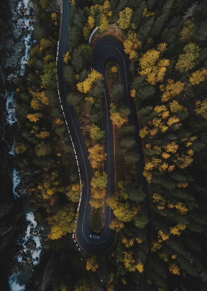 Forest road