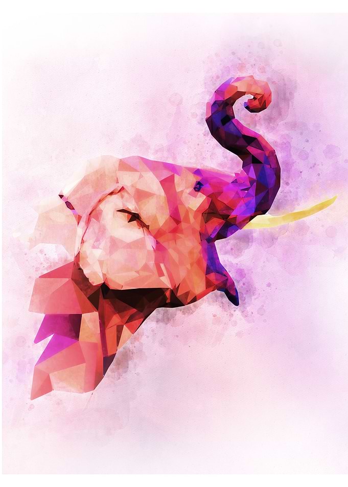 Elephant watercolor