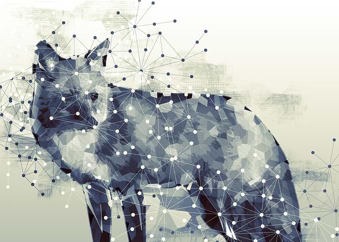 wolf poly