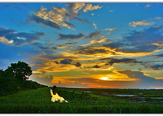 sunset on the field