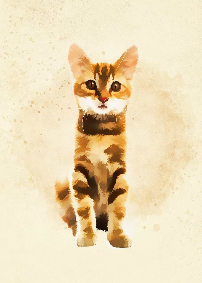 Cute Baby Cats3
