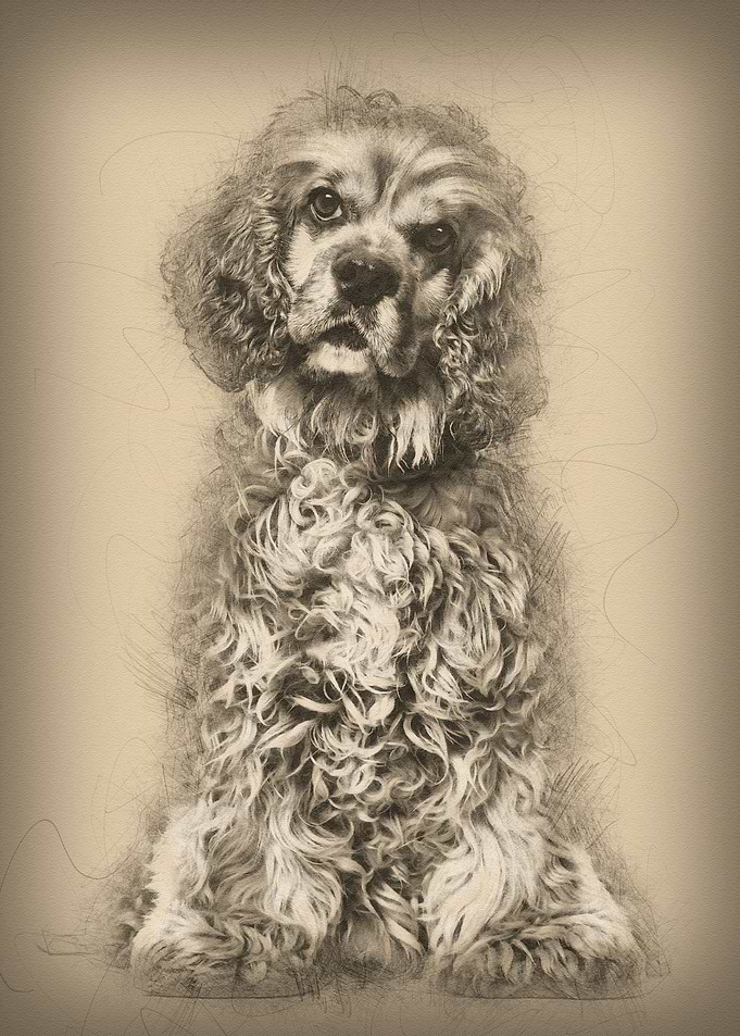 Brown Mixedbreed dog in po