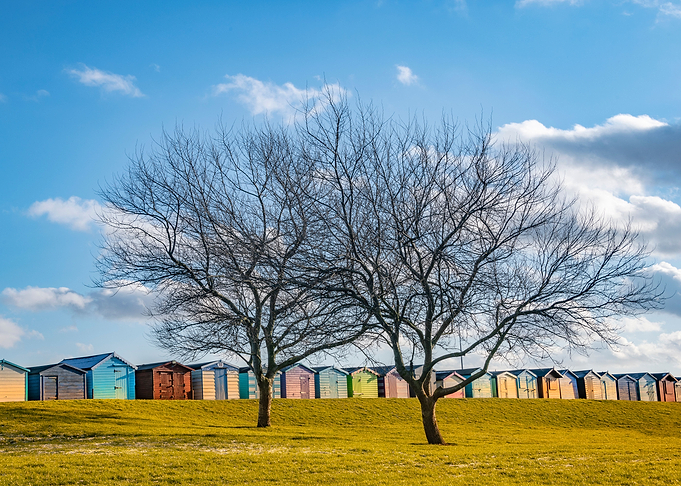 Summer Sheds