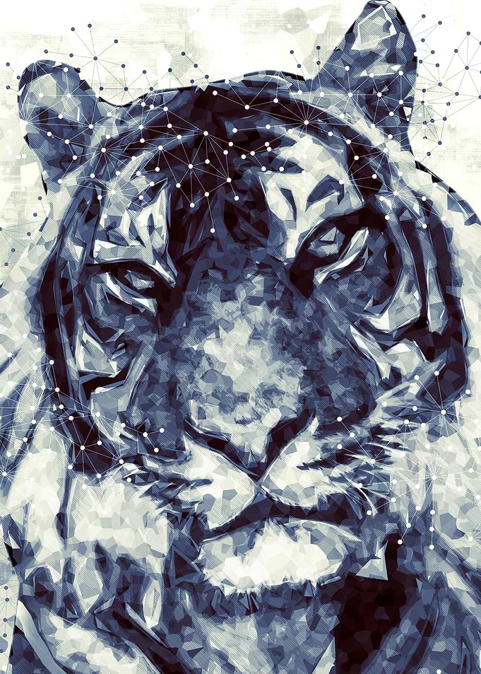 lowpoly tiger