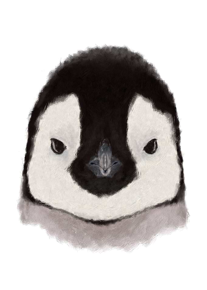 Baby Penguin