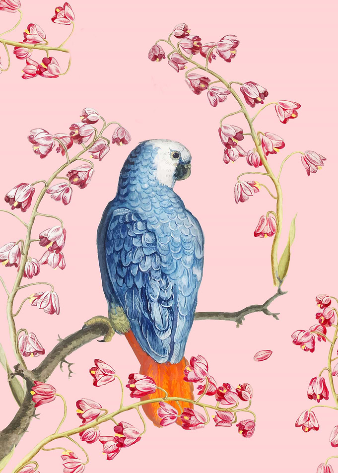 bird 8