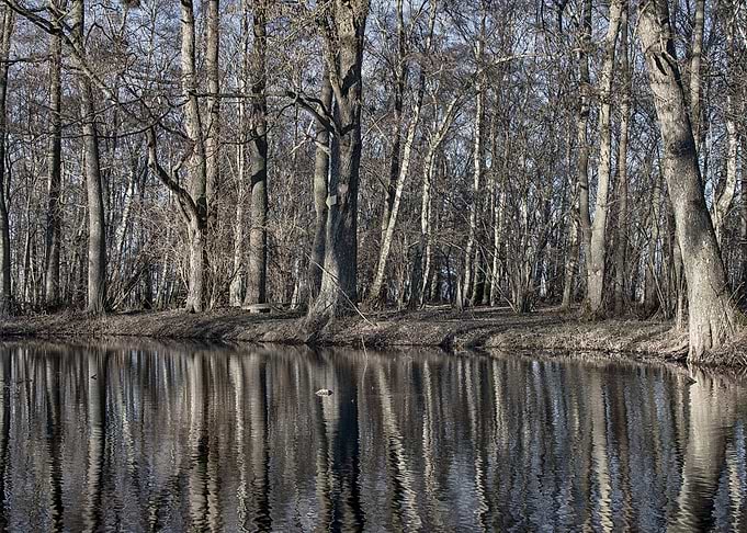 Tranquility
