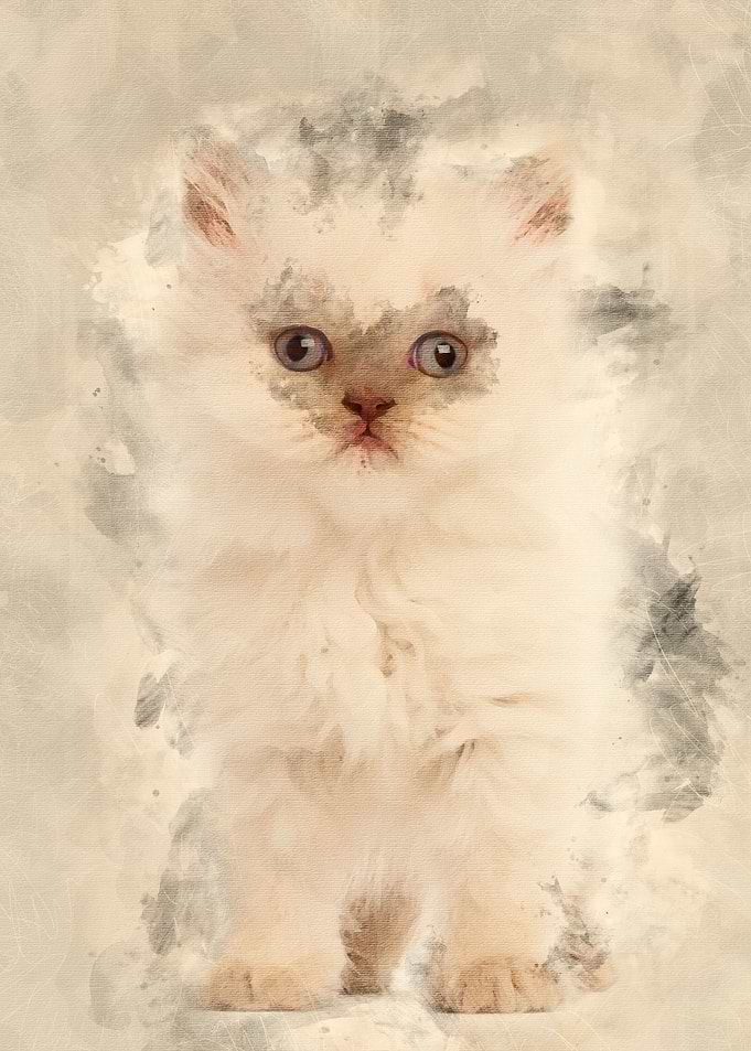Portrait of British Longha