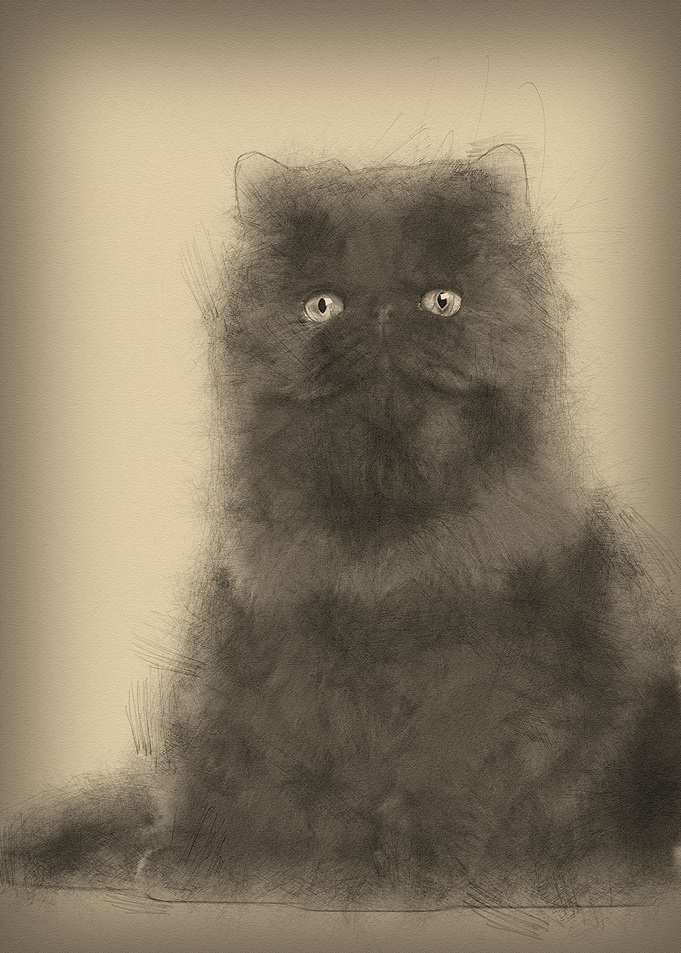 Portrait of Persian cat 7