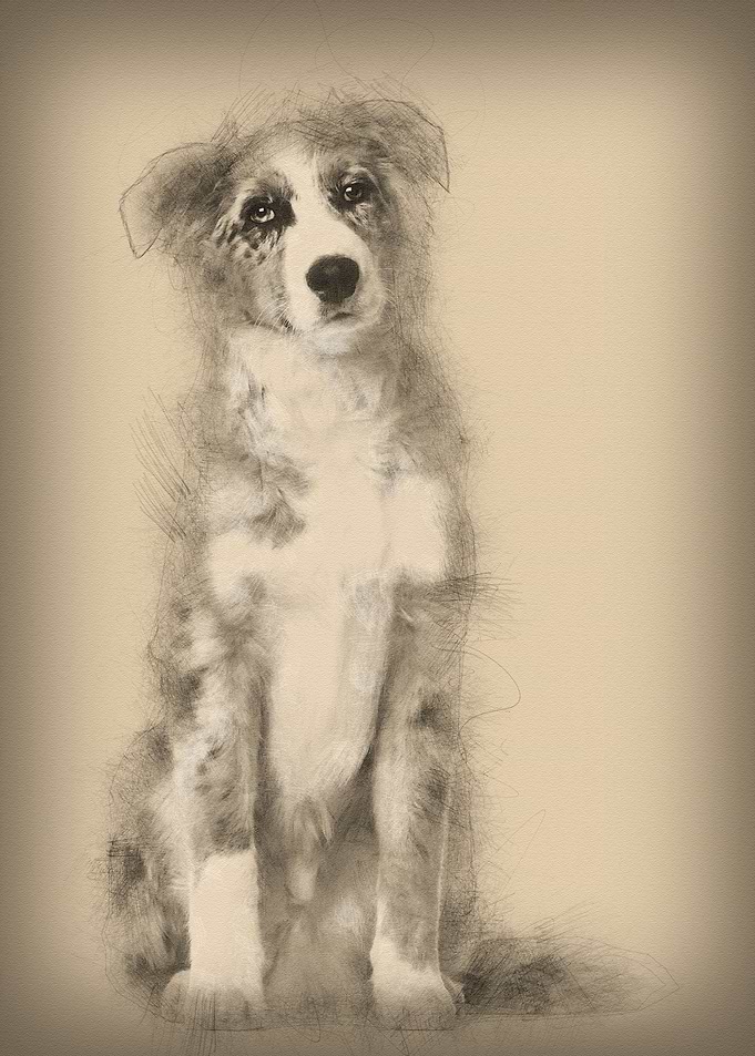 Portrait of Australian She