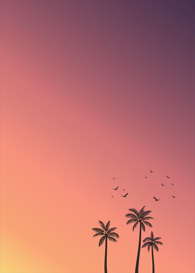 Relaxing Afternoon