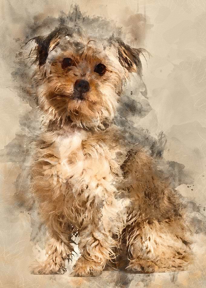 Mixedbreed dog sitting ag