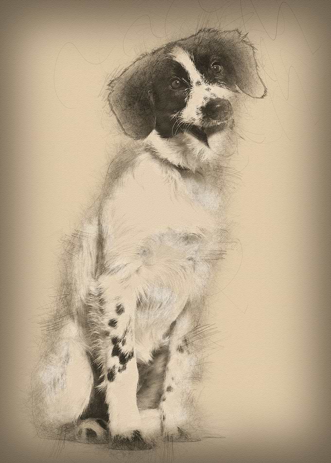 Mixedbreed dog sitting aga