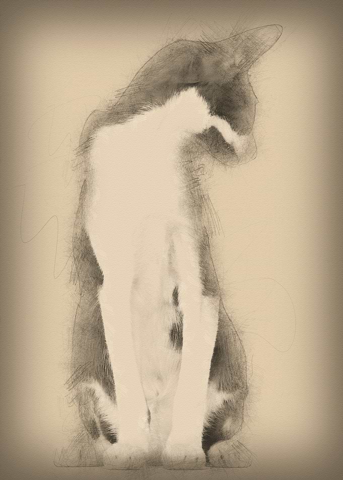 Oriental Shorthair sitting