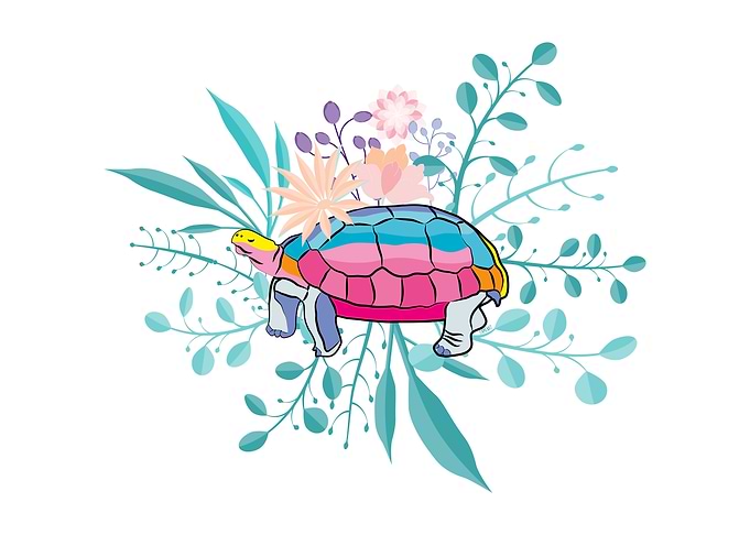 Spring Turtle