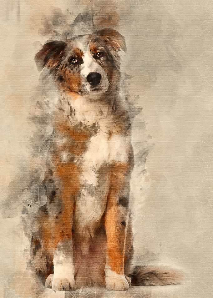Portrait of Australian She