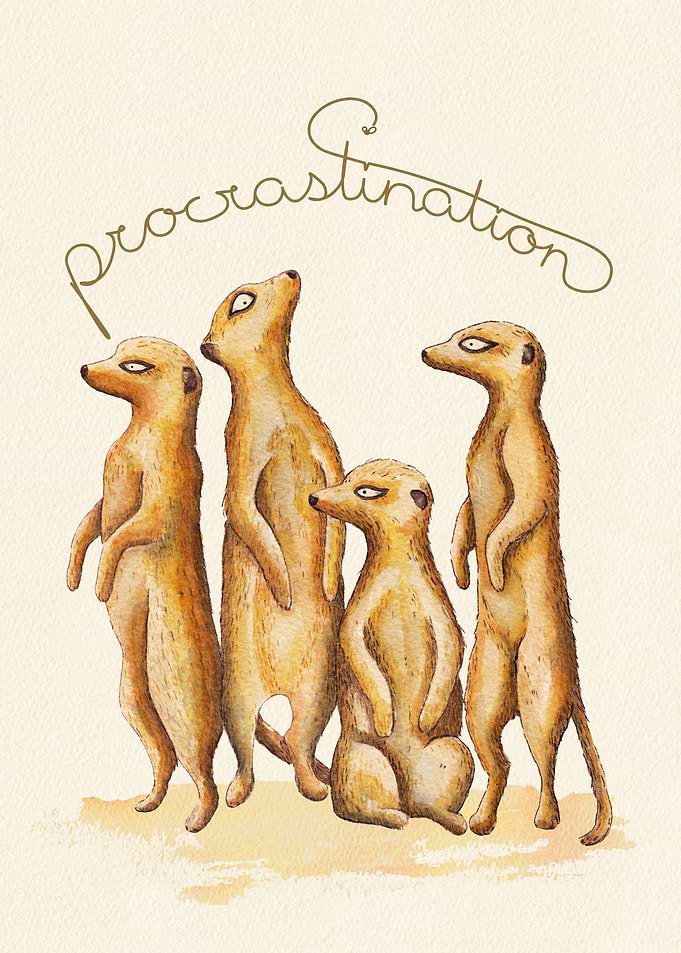 Procrastinating Meerkat