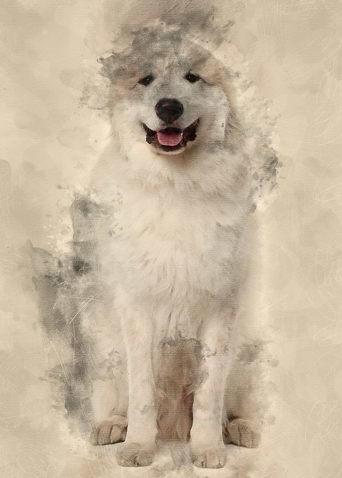 Great Pyrenees or Pyrenean