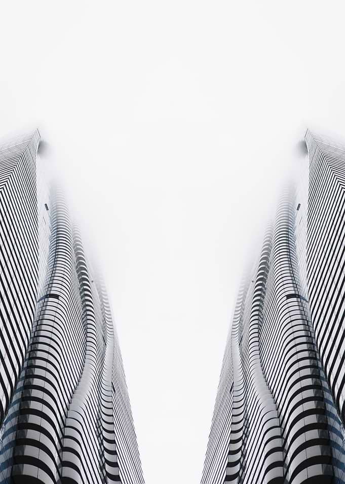 Twins Abstract