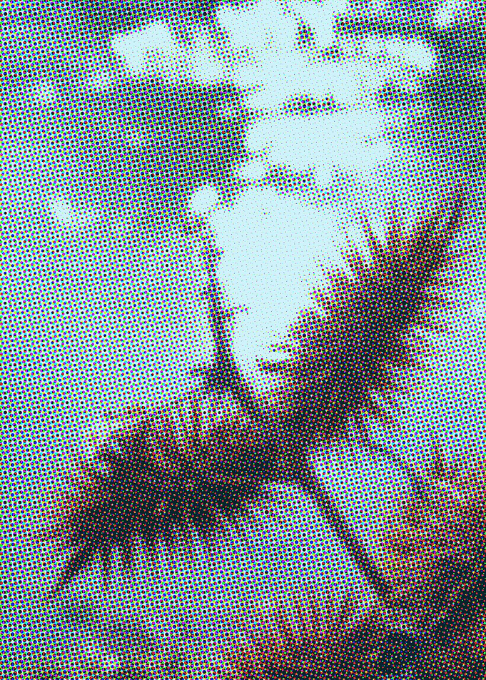 Bracken and Water