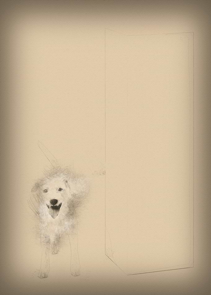 Parson Russell terrier uri