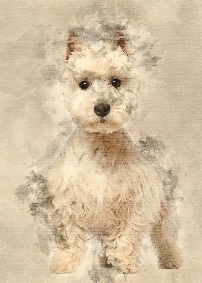 West Highland White Terrie