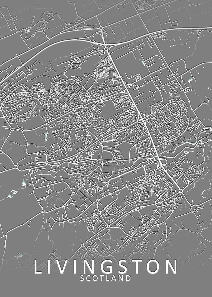 Livingston Grey City Map