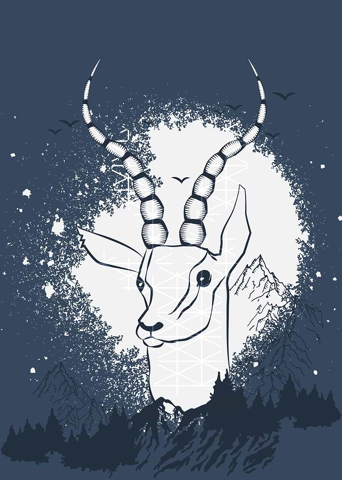 Antelope Wild and Free